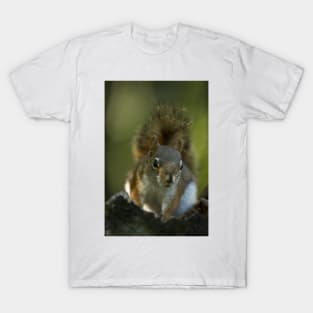 Red Squirrel T-Shirt